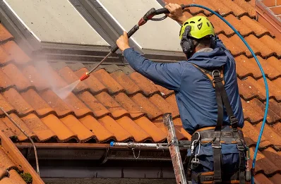 Démoussage et hydrofuge de toiture à Ayzieu